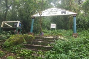 부아(Buea)에 위치한 카메룬산 국립공원 입구