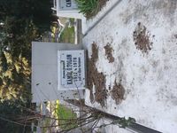 에미르 술탄 묘지에 있는 톨론의 묘