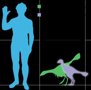 사람과의 크기 비교
