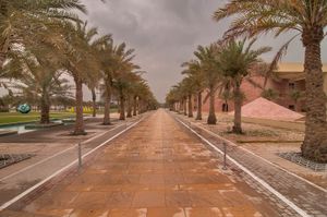 카타르 에듀케이션 시티의 야자수 그늘 아래 긴 통로