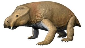 K. simocephalus의 생전 모습 재구성