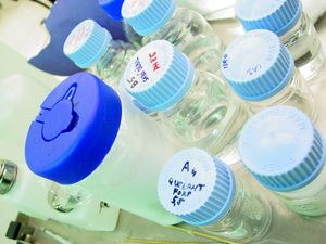 카탈루냐 미술관의 보존 복원 센터에서 진행 중인 청소 테스트