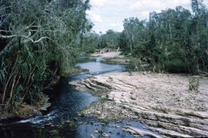 1962년 6월 캐서린 저지대 모습