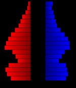 2000년 캐스 군의 인구 피라미드