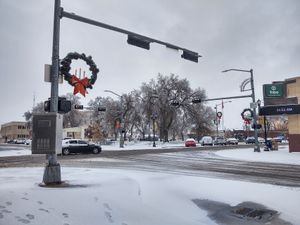 2020년 11월 콜럼버스에 내린 눈