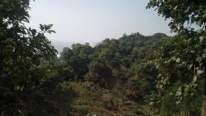 꼭대기에서 본 히므초리