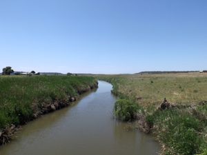 펠턴의 호지슨 크릭(Hodgson Creek), 2014년