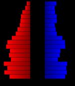 2000년 인구 조사 당시의 군의 인구 피라미드