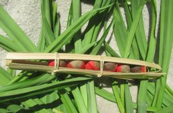 "순돗 쿨랑곳" (링가옌)