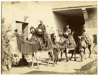 카이로의 낙타 드럼