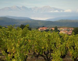 주제에 맞추어 크롭된 버전