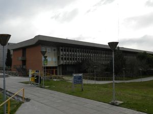 사회정치과학대학