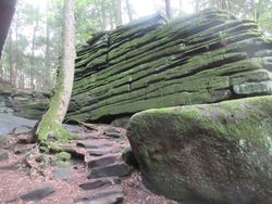 공원의 가장자리 구역은 인기 있는 하이킹 코스를 포함하며, 샤론 집괴암으로 형성된 인상적인 암석 노두가 특징이다.