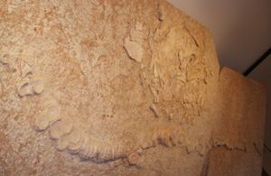 Associated fossil of a <i>Cretodus</i> shark and a <i>Protosphargis</i> sea turtle from the Cretaceous of Italy