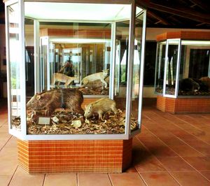 텔레마코 보르바의 사무엘 클라빈 생태 공원에 있는 프란스 크라지베르 자연 해석 센터.