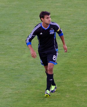 2013년의 원돌로우스키