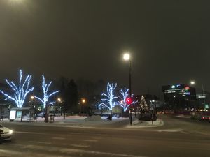 핀란드 반타 티쿠릴라의 크리스마스 조명으로 장식된 나무들