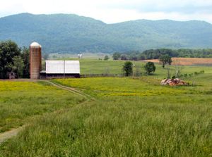 스피드웰 인근 농지