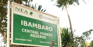 Ibambaro, Kyenjojo.jpg