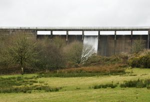 어퍼 타마 호수의 댐.