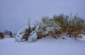 타부크 근처 미디안 산맥의 눈