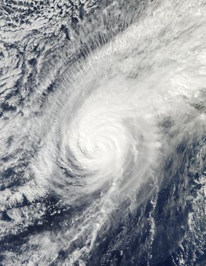 12월 10일 약화되는 태풍 봉선화