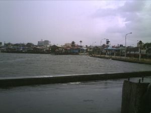 태풍 스팟이 몰고 온 나보타스의 비