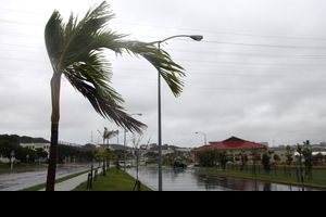 태풍으로 인해 강풍이 부는 모습(오키나와)
