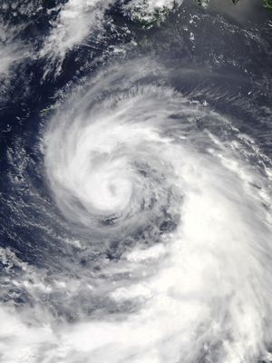 7월 19일 심각한 열대 폭풍으로 발달한 인파