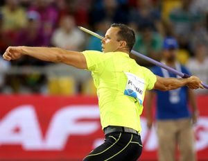 2015년의 핏캐매키