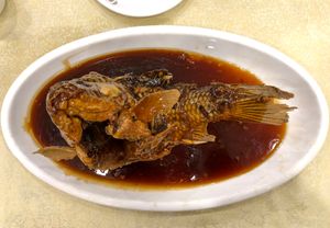 쩡 벙 잉어