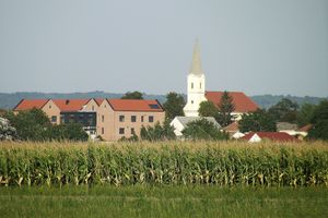 들판 건너편에서 바라본 시내 중심부