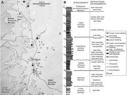 텐다구루 층의 지도 및 지층 단면도