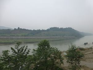 개간과 인간 개발 이전에는 홍강이 통킹들창코원숭이의 서식지에 속했다.