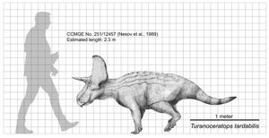 사람과 비교한 Turanoceratops tardabilis의 크기