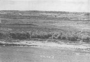 화이트 비치 2의 사선 사진