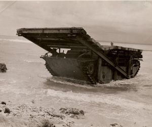 사이판에서 두들버그의 시연