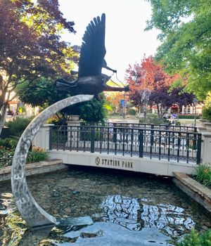 스테이션 파크의 워터 시설 (파밍턴)