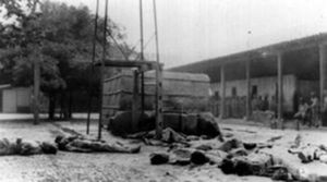 1944년 학살의 시체