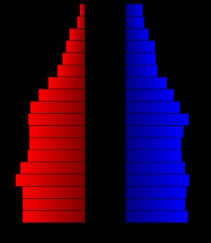 2000년 인구 조사를 바탕으로 작성된 티프트 군의 인구 피라미드