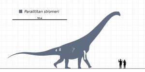 일부 알려진 재료를 흰색으로 표시하여, 파랄리티탄과 몇몇 인간을 비교한 가상 축척 다이어그램