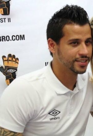 2011년의 파비우