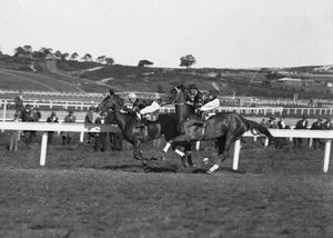 파 랩 짐 파이크(Jim Pike)와 차이드 W.쿡(Chide W.Cook) 1931년 랜드윅 경마장(Randwick Racecourse)