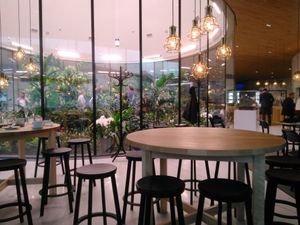 파체르 방문자 센터, 반타, 2016년 11월 개장 직후