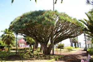 Florêncio Terra Garden