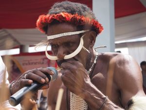 피콘을 연주하는 모습