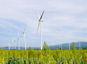 페데르날레스 주 완초 풍력 발전소.