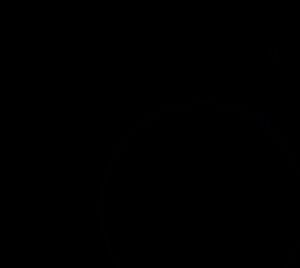 Q 에서 평면 E 로 단위 구의 평사 투영. 여기서는 단면으로 표현했다.