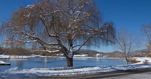 눈 덮인 마을 호수