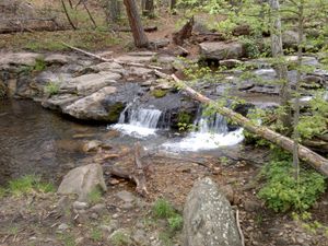 호튼 크릭 트레일